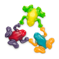 Rainforest Frogs