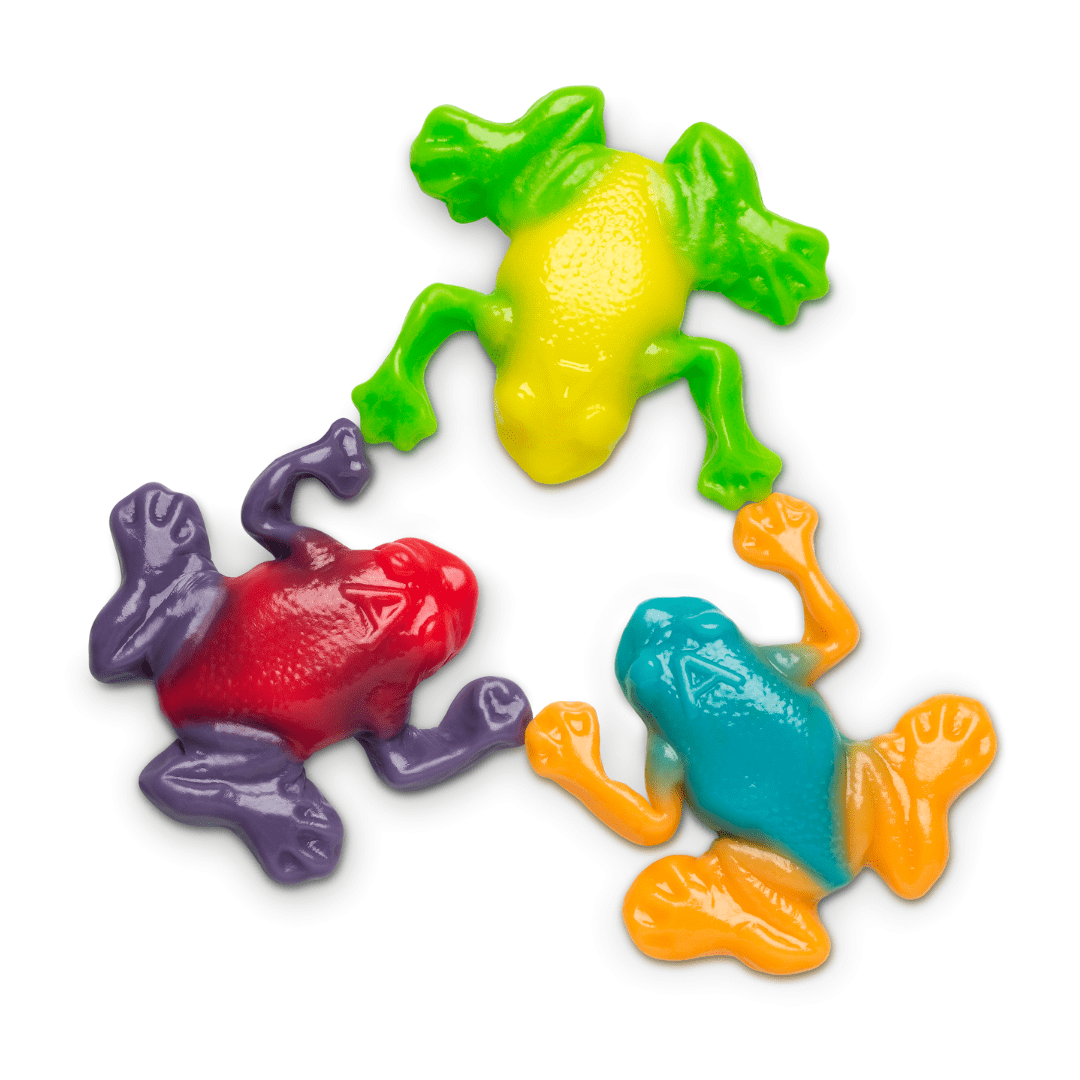 Rainforest Frogs