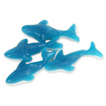 Blue Shark