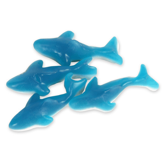 Blue Shark
